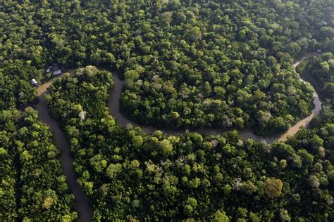  La Cumbre de la Amazonia: Un Encuentro Controversial para el Futuro del Bosque